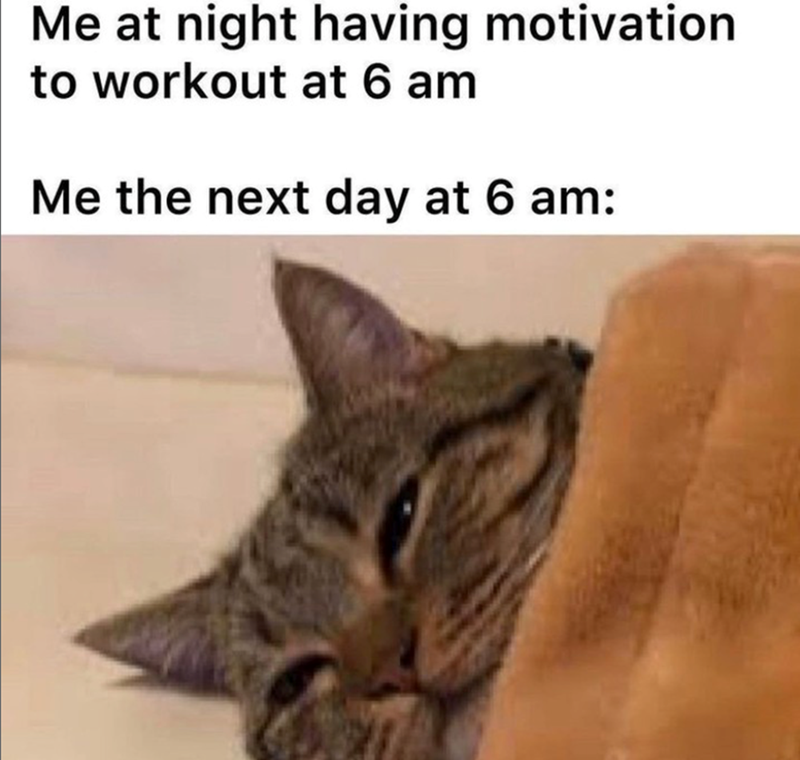 Me at night having motivation to workout at 6 am Me the next day at 6 am:
