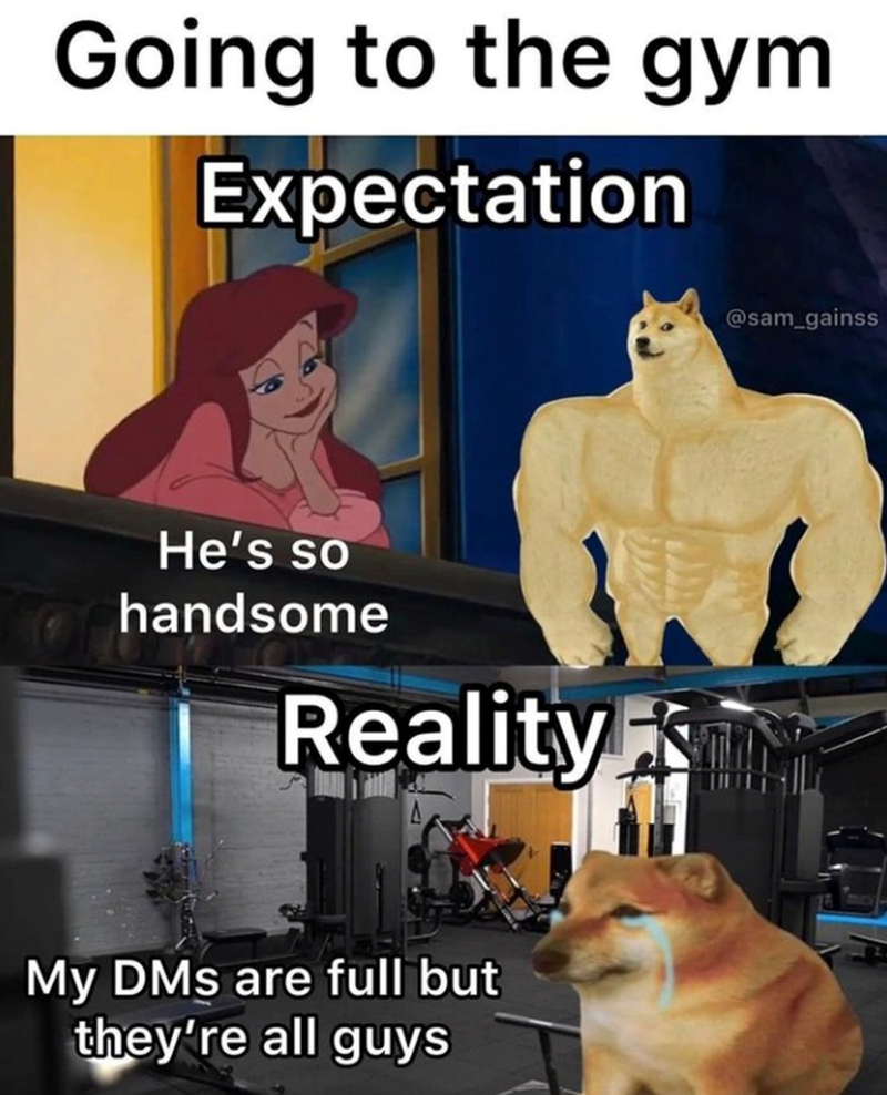 Going to the gym Expectation He's so handsome Reality S My DMs are full but they're all guys @sam_gainss