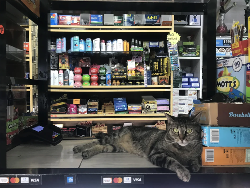dvil VE TYLEND TUNO Claritin Advil EDRIN BLACKHORSE RAWlife DGR RAW MAGNUM VISA D VISA | HOCOVIP NO Refund CLUnterfectS ZYN ACCO-FREE Real FRUIT EGGIE juice $999 ZYN ROLETS RO 90 COUNT 41 ANY Q MOTTS BROWNE BATTER Barebell RAW