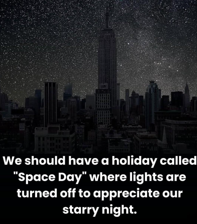 We should have a holiday called "Space Day" where lights are turned off to appreciate our starry night.