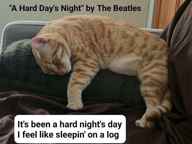"A Hard Day's Night" by The Beatles It's been a hard night's day I feel like sleepin' on a log