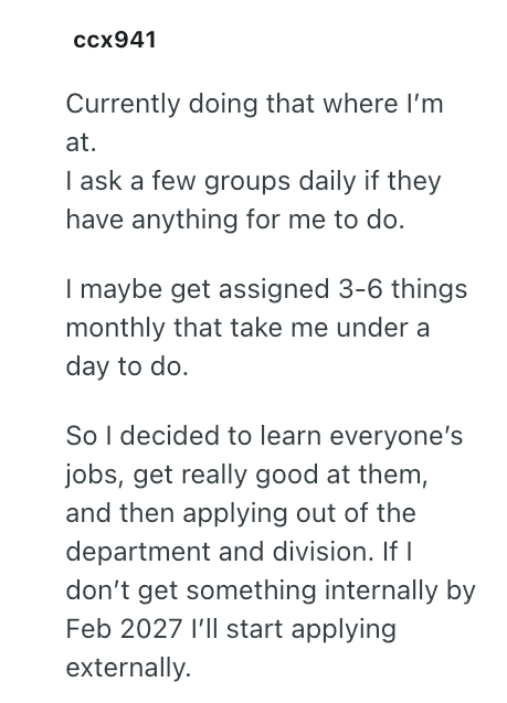 ccx941 Currently doing that where I'm at. I ask a few groups daily if they have anything for me to do. I maybe get assigned 3-6 things monthly that take me under a day to do. So I decided to learn everyone's jobs, get really good at them, and then applying out of the department and division. If I don't get something internally by Feb 2027 I'll start applying externally.