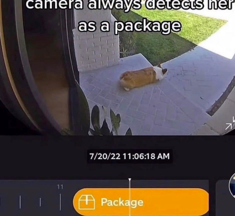 camera always detects her as a package 7/20/22 11:06:18 AM 11 Package N