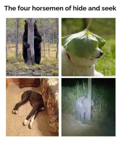 The four horsemen of hide and seek