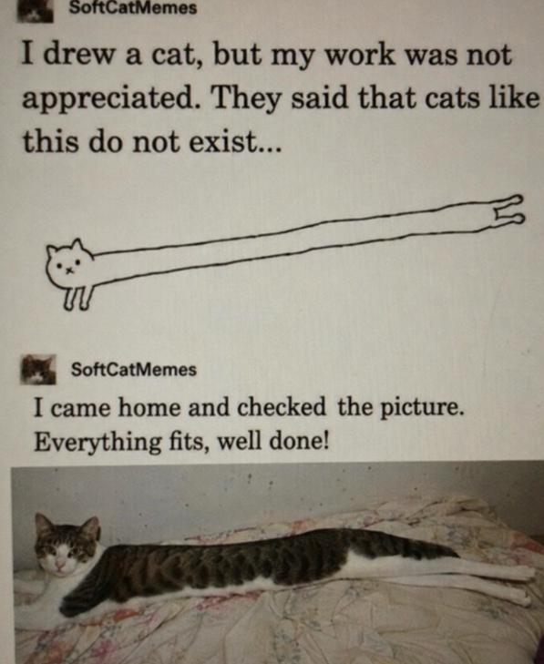 SoftCatMemes I drew a cat, but my work was not appreciated. They said that cats like this do not exist... SoftCatMemes I came home and checked the picture. Everything fits, well done!