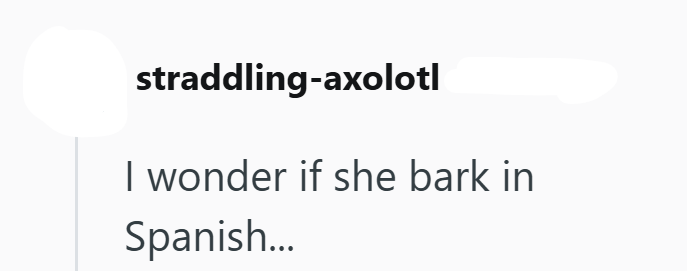 straddling-axolotl I wonder if she bark in Spanish...