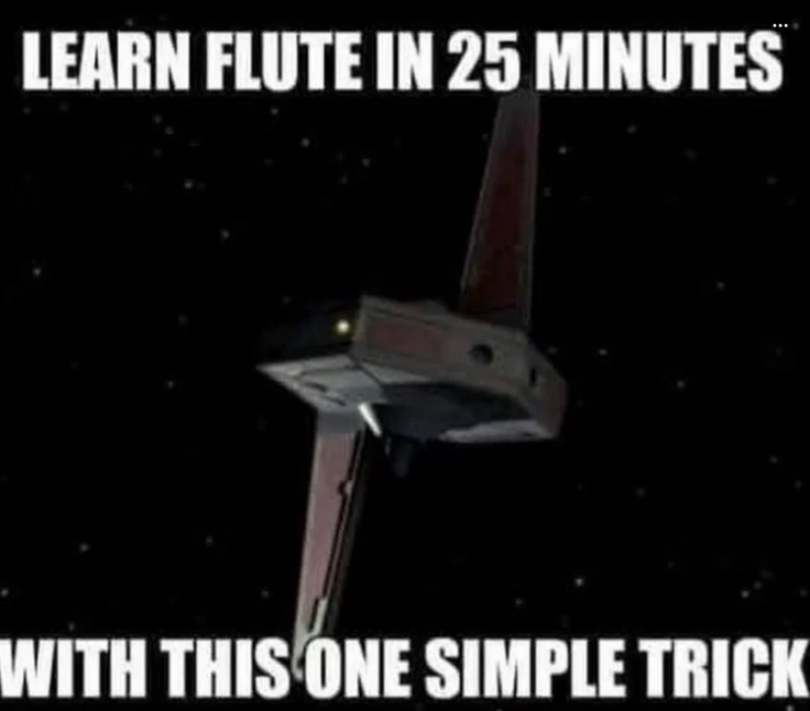 LEARN FLUTE IN 25 MINUTES WITH THIS ONE SIMPLE TRICK