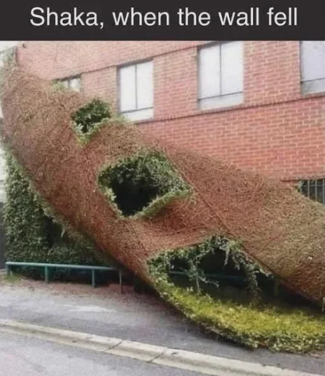 Shaka, when the wall fell