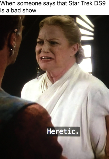 When someone says that Star Trek DS9 is a bad show Heretic.