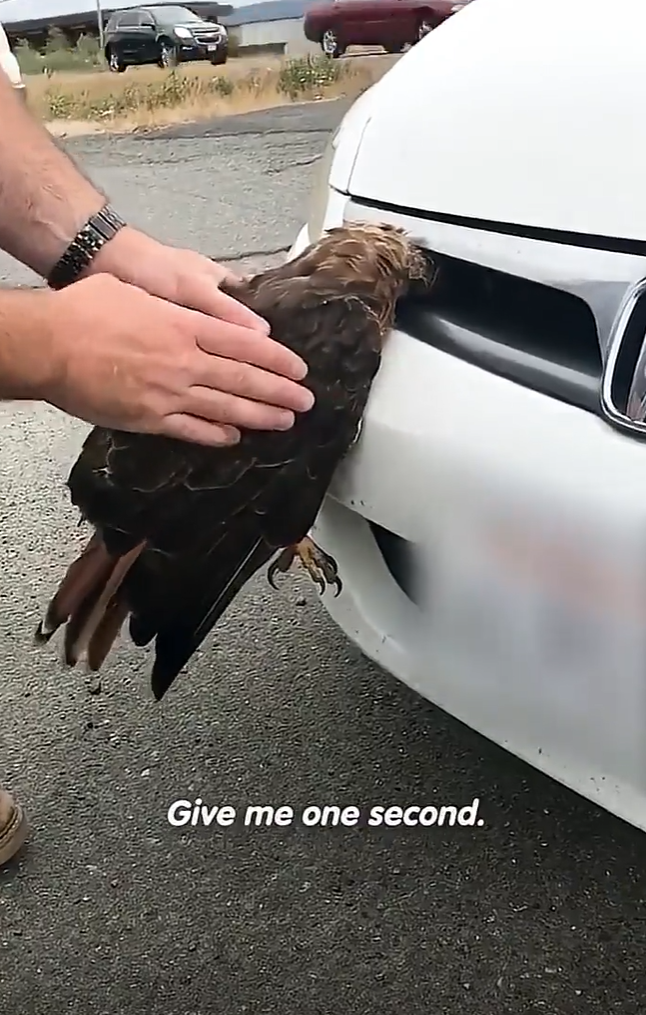 Give me one second.