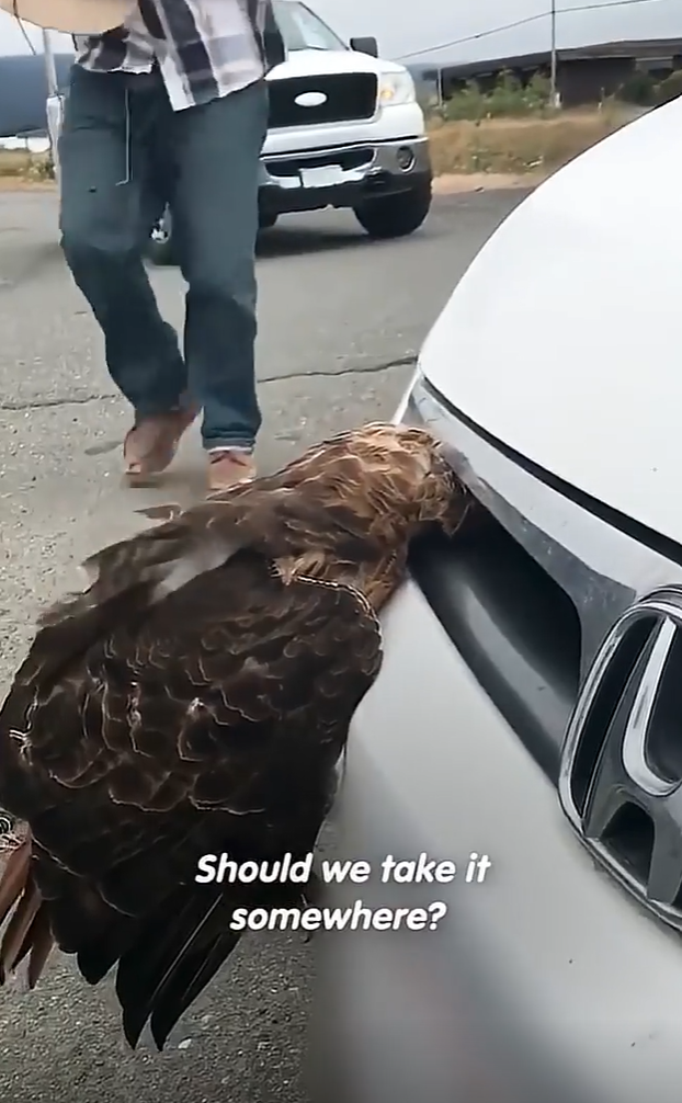 Should we take it somewhere?