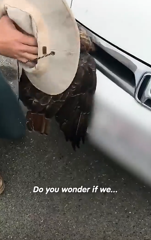 Do you wonder if we...