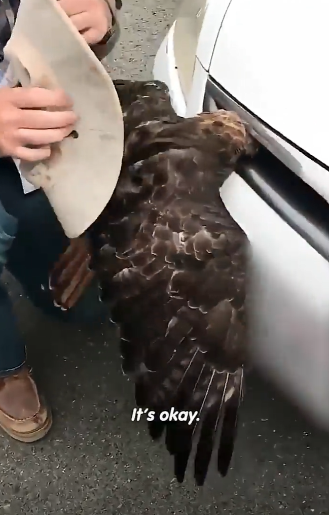 It's okay!