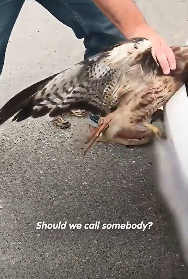 Should we call somebody?
