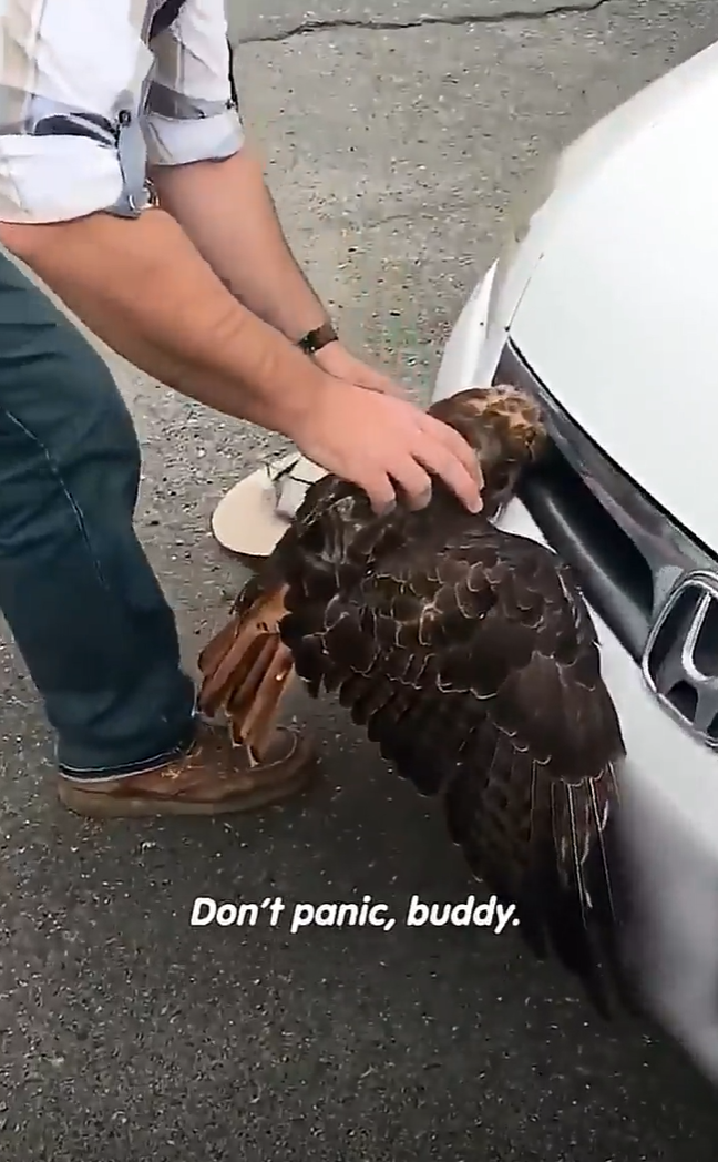 Don't panic, buddy.