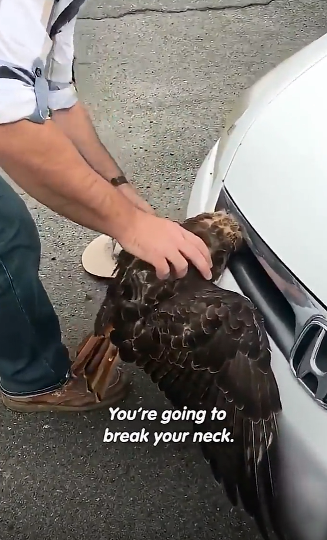 You're going to break your neck.