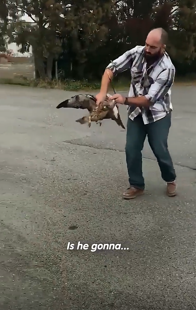 Is he gonna...