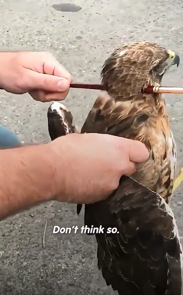 Don't think so.