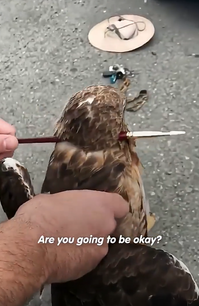 Are you going to be okay?