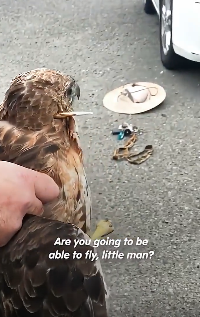 Are you going to be able to fly, little man?