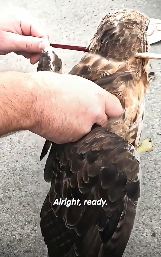 Alright, ready.