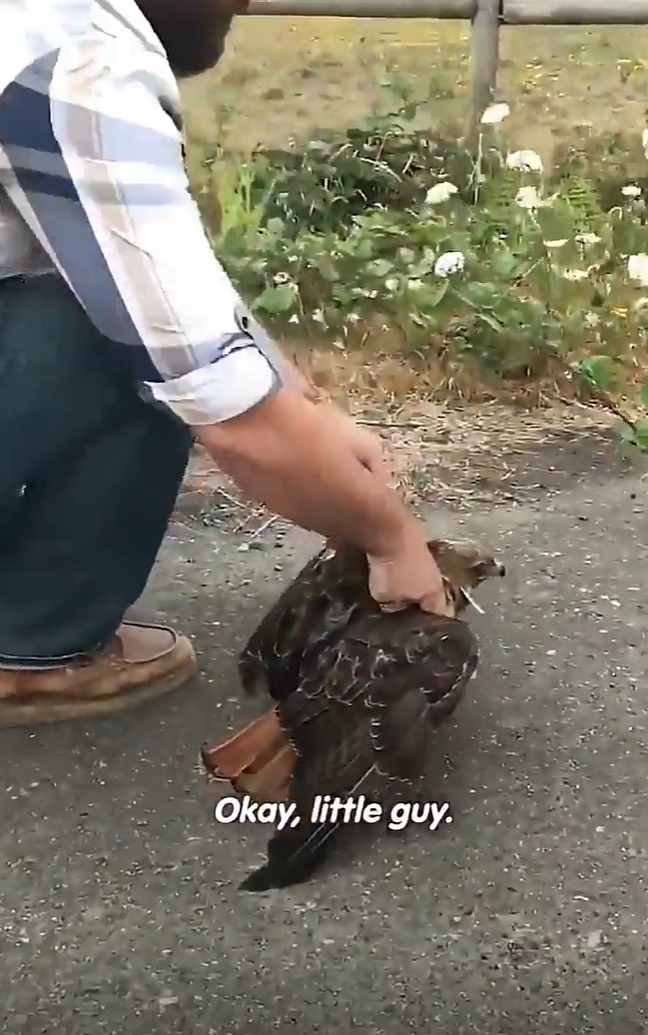 Okay, little guy.
