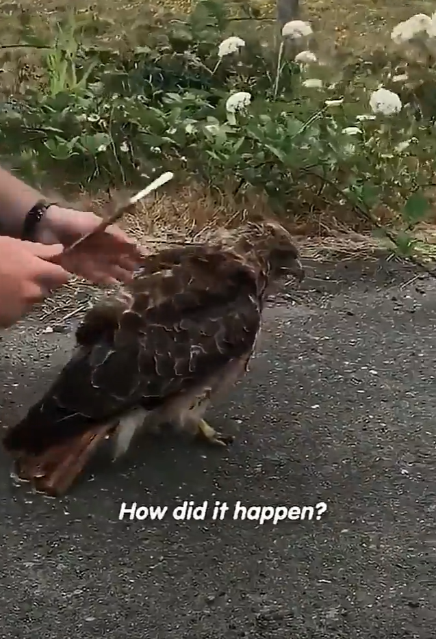 How did it happen?
