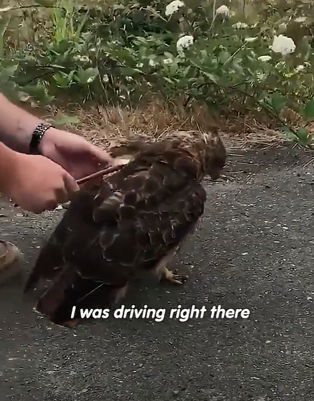 I was driving right there