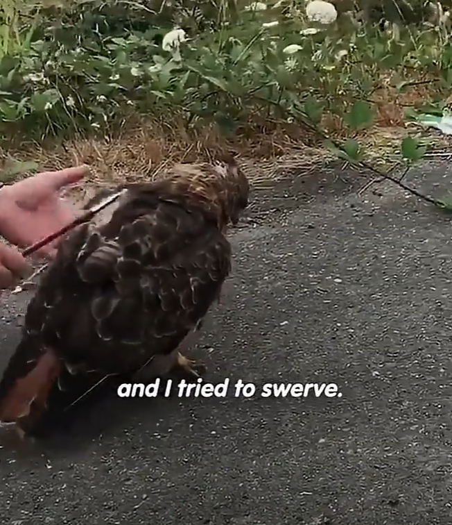 and I tried to swerve.