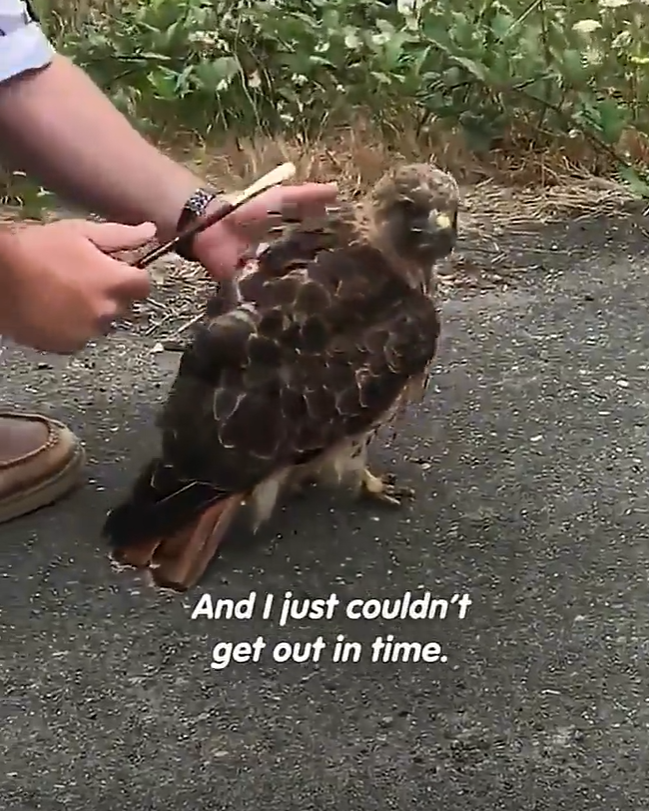 And I just couldn't get out in time.