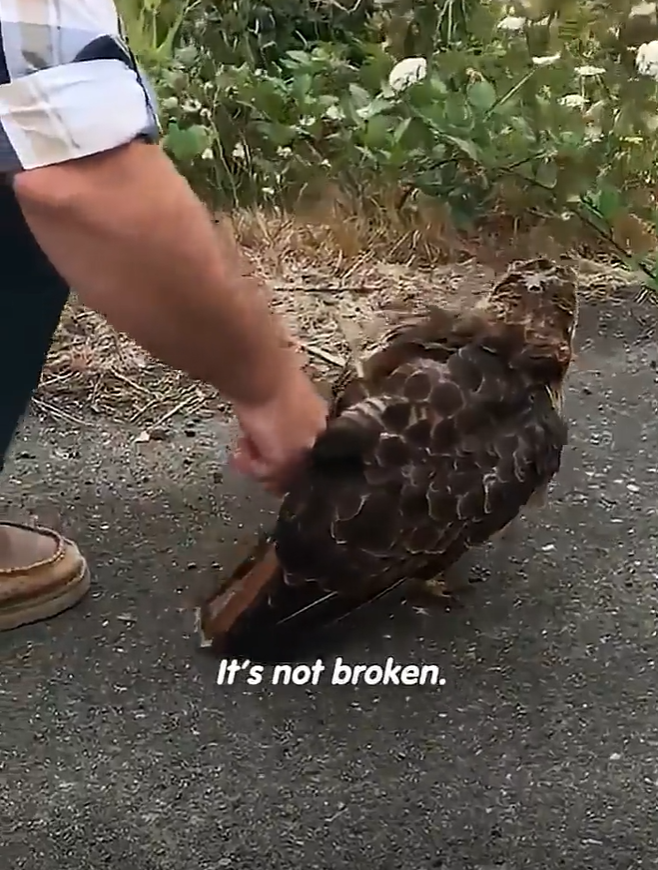 It's not broken.