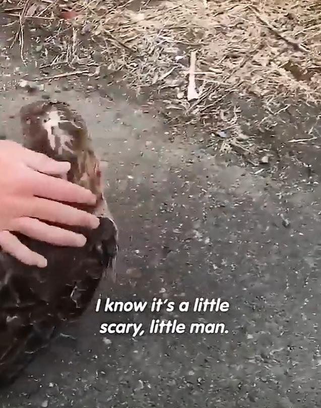 I know it's a little scary, little man.