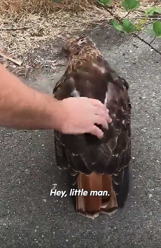 Hey, little man.