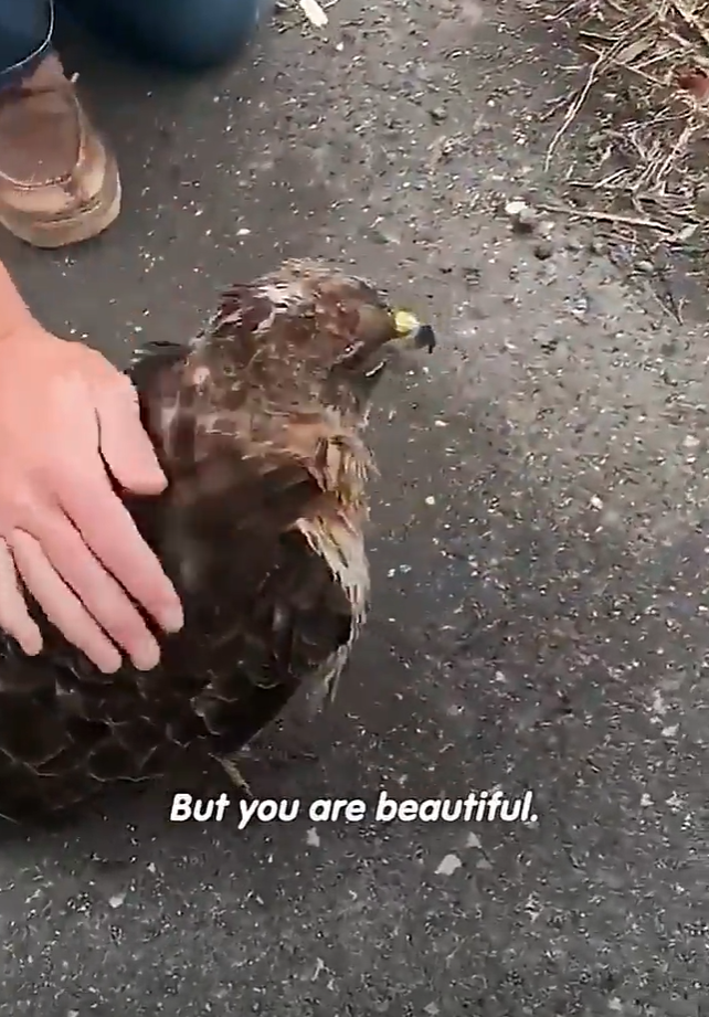 But you are beautiful.