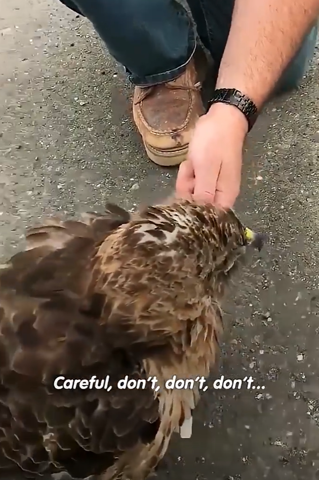 Careful, don't, don't, don't...