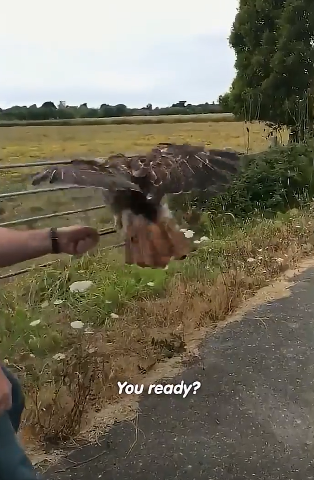 You ready?