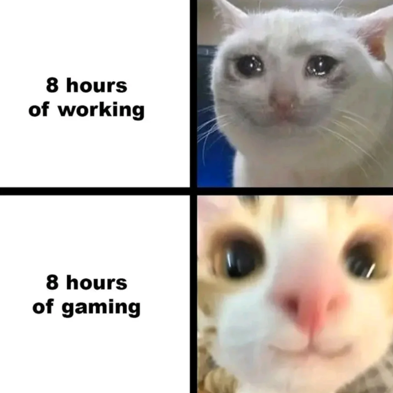 8 hours of working 8 hours of gaming