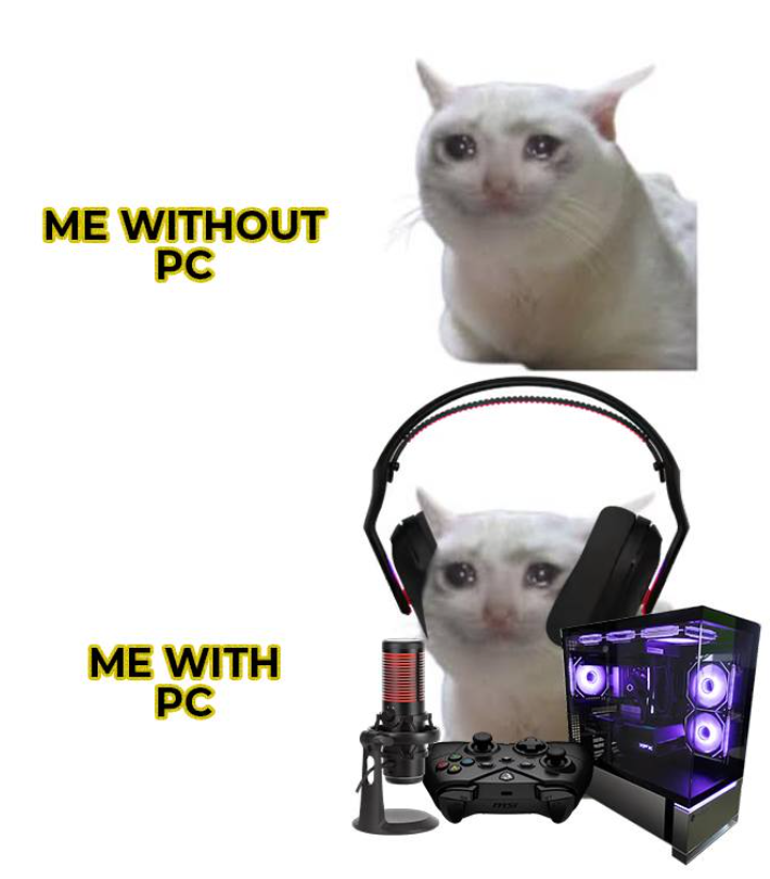 ME WITHOUT PC ME WITH PC