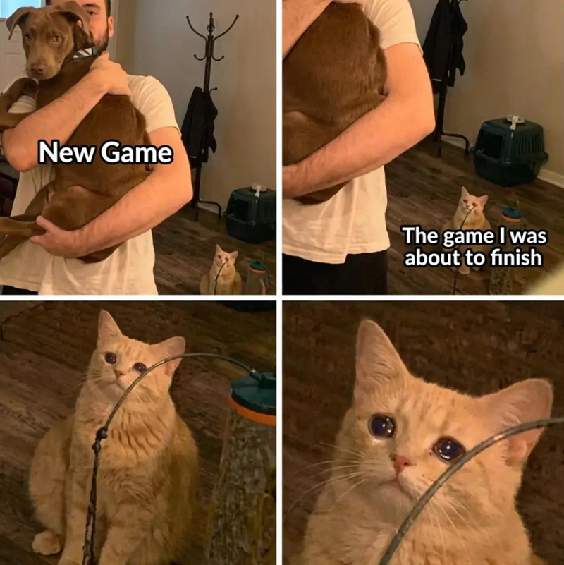 New Game The game I was about to finish