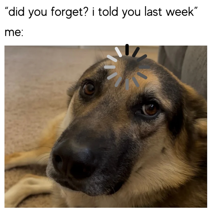 "did you forget? i told you last week" me:
