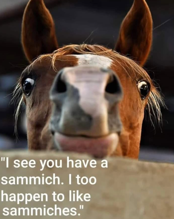 "I see you have a sammich. I too happen to like sammiches."