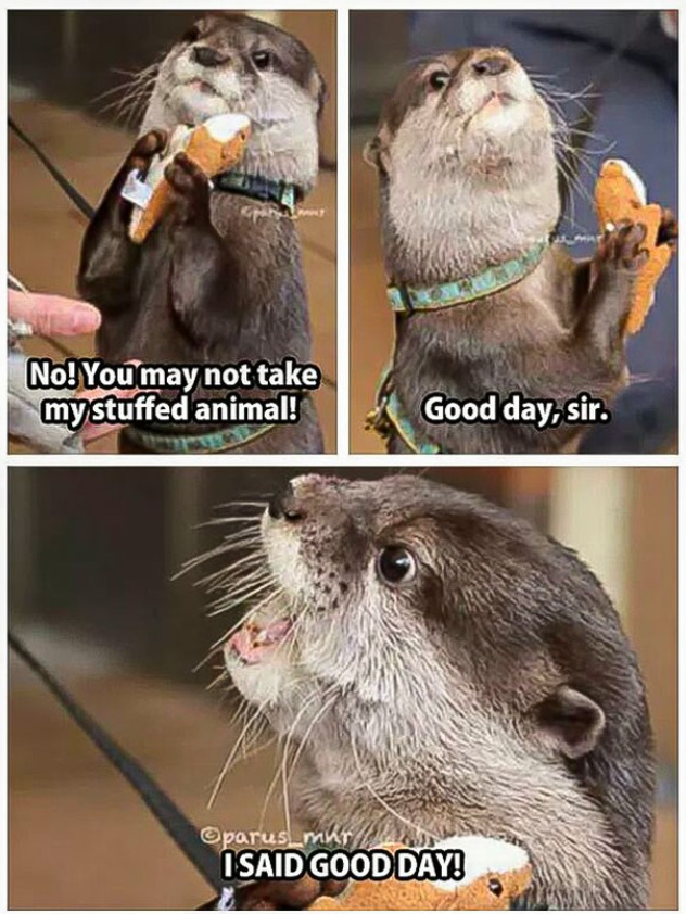 No! You may not take my stuffed animal! Good day, sir. Oparus mur ISAID GOOD DAY!