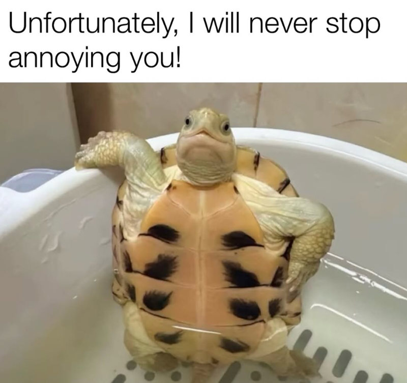Unfortunately, I will never stop annoying you!