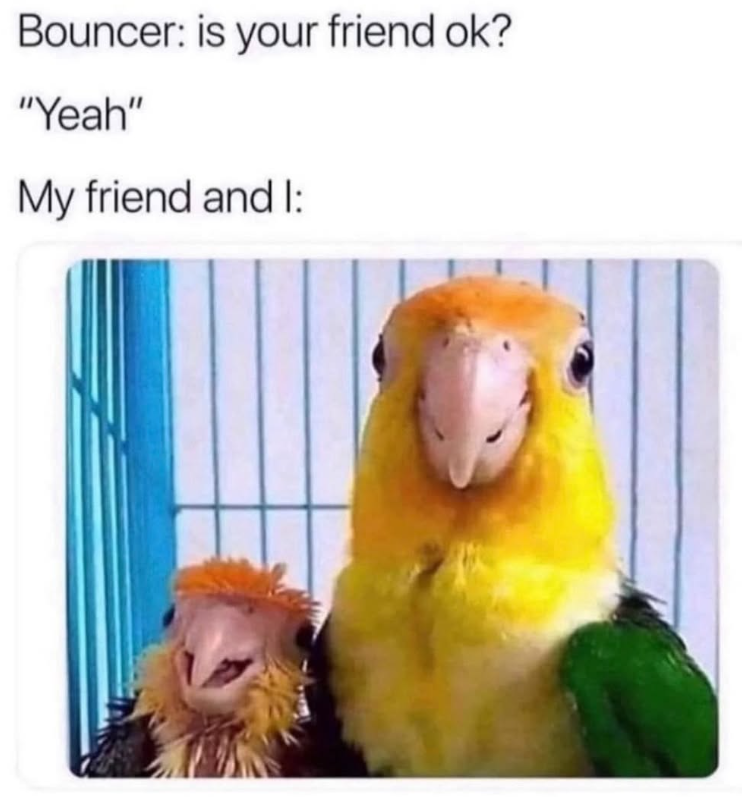Bouncer: is your friend ok? "Yeah" My friend and I: