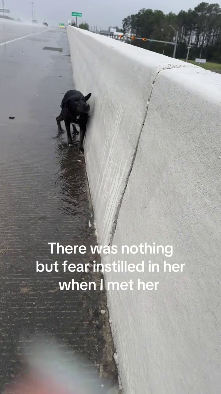 There was nothing but fear instilled in her when I met her