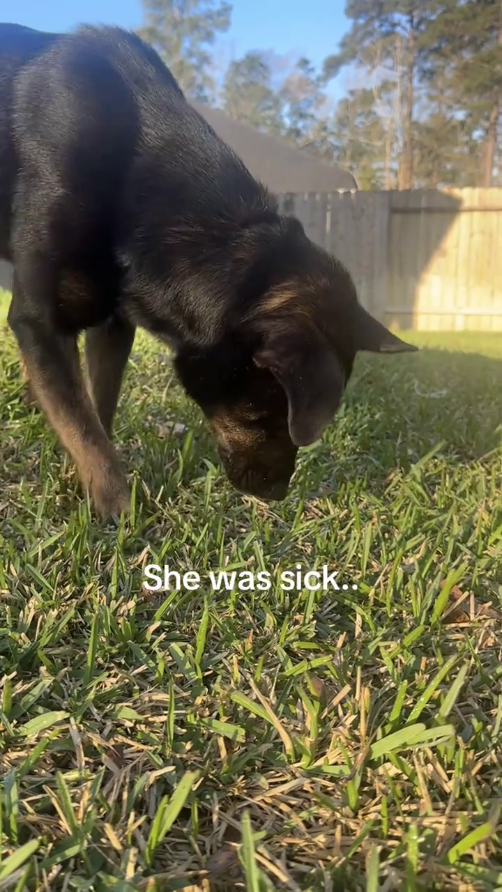 She was sick..