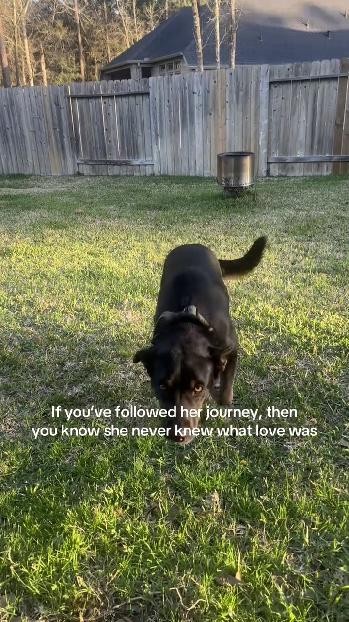 If you've followed her journey, then you know she never knew what love was