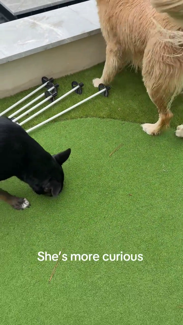 She's more curious