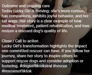 Outcome and ongoing care Today Lucky Girl is thriving: she's more curious, has companions, exhibits joyful behavior, and her tail wags. Her story is a clear example of how medical treatment, patient rehabilitation, and love restore a rescued dog's quality of life. Close / Call to action Lucky Girl's transformation highlights the impact one committed rescuer can have. If you follow her journey, share her story to inspire others to support rescue dogs and consider adoption or fostering. #dogsoftik