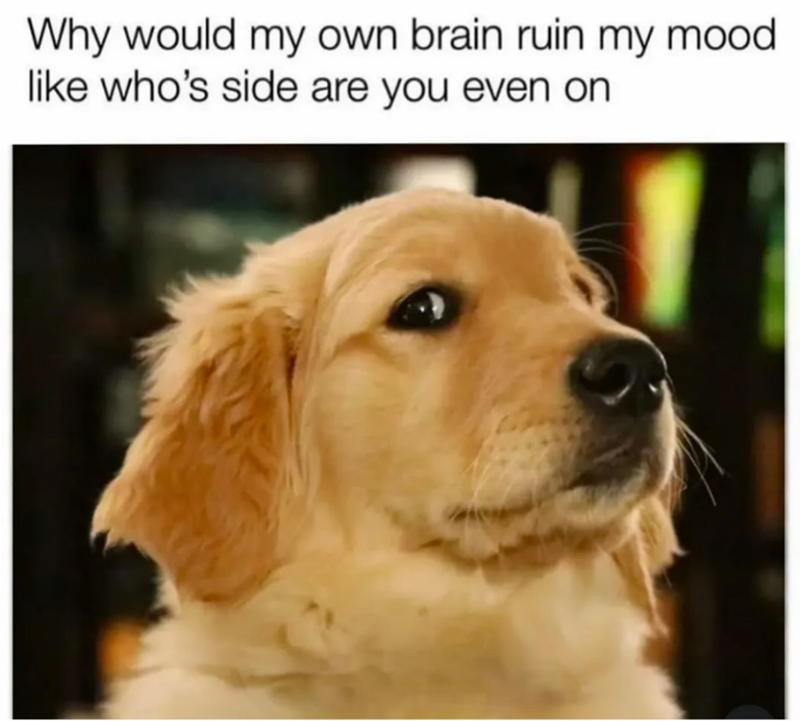 Why would my own brain ruin my mood. like who's side are you even on